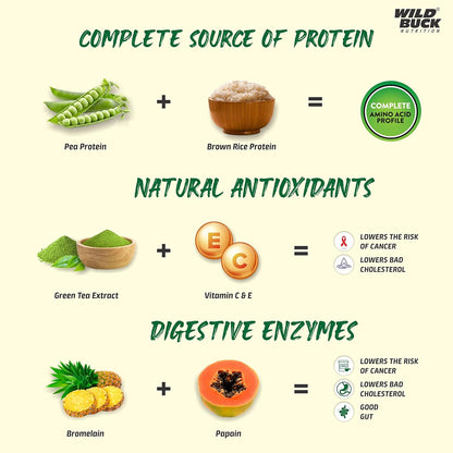 Vegan Plant Protein Powder | Made with Pea, Brown Rice | Added Digestive Enzymes